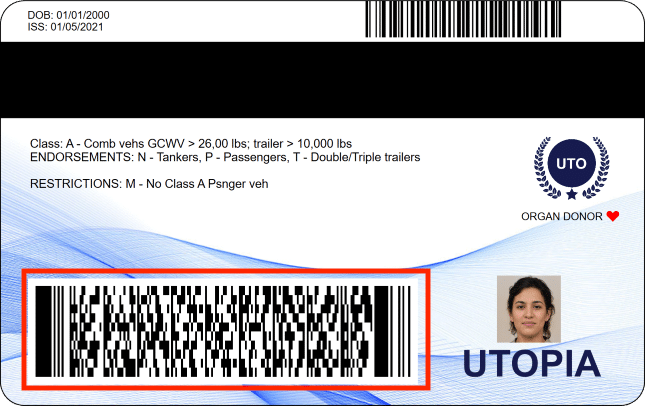 Back of an ID - PDF417 barcode