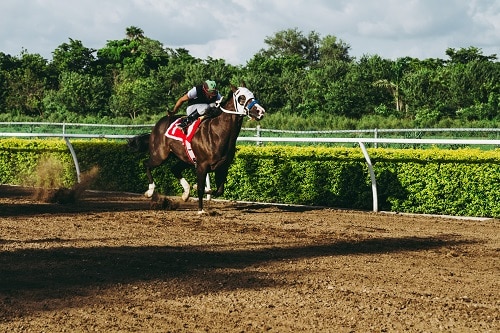 Jockey on a racehorse at Kentucky race track