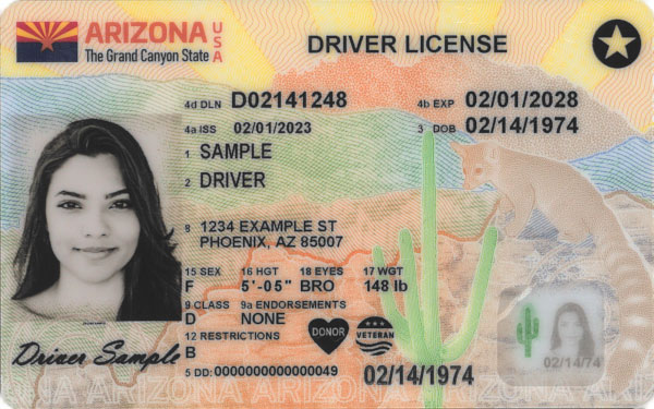 Arizona sample drivers license