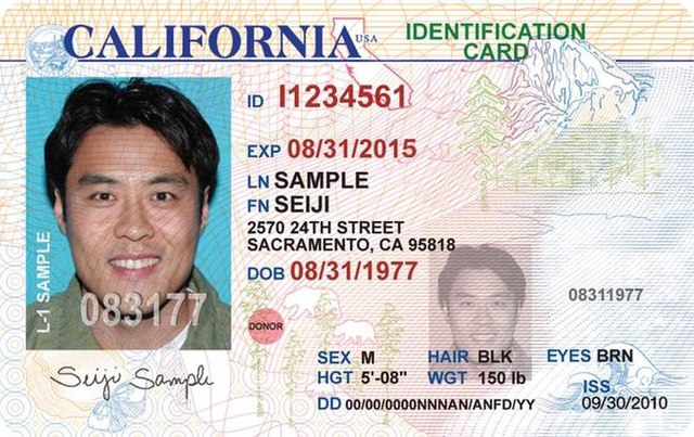 California drivers license sample
