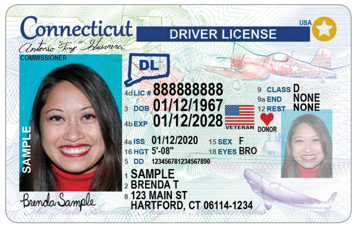 Connecticut sample drivers license