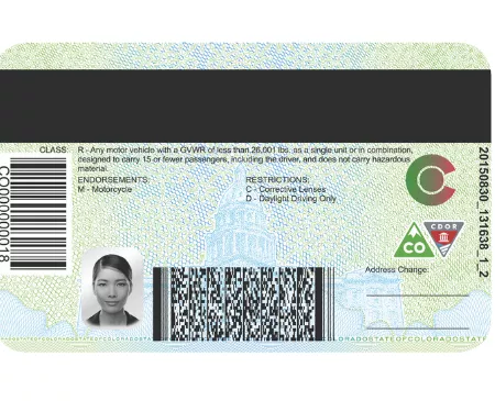 Back of Colorado driver's license