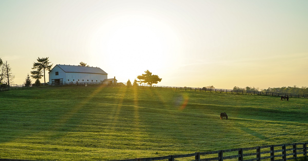 Kentucky farm and barn
