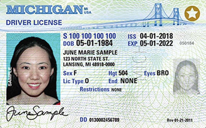 Michigan sample ID