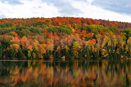 Autumnal Vermont landscape