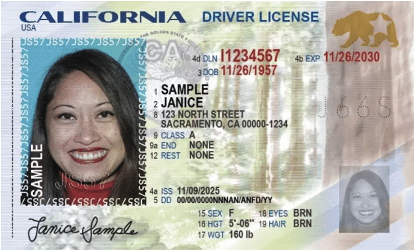 2025 California drivers license template update