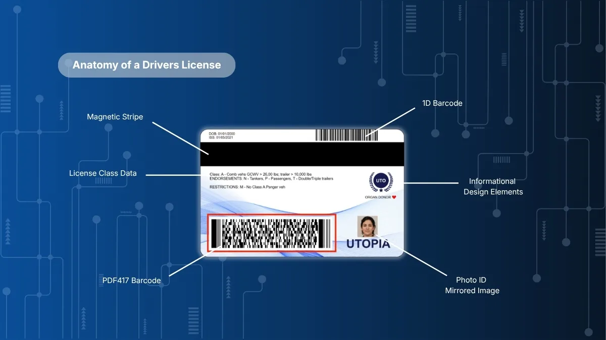 Anatomy of a drivers license