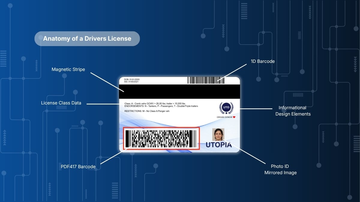 Anatomy of a drivers license - IDScan.net