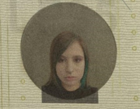 Windowpane feature on Arkansas ID