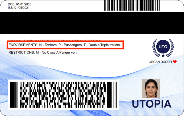 Back of an ID license class information