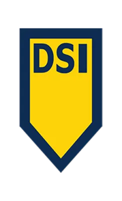 dsi-security-logo