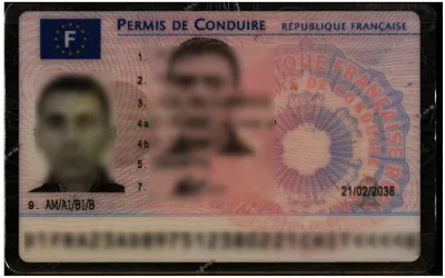 Sample image of the French ID quality showing laminated plastic edges