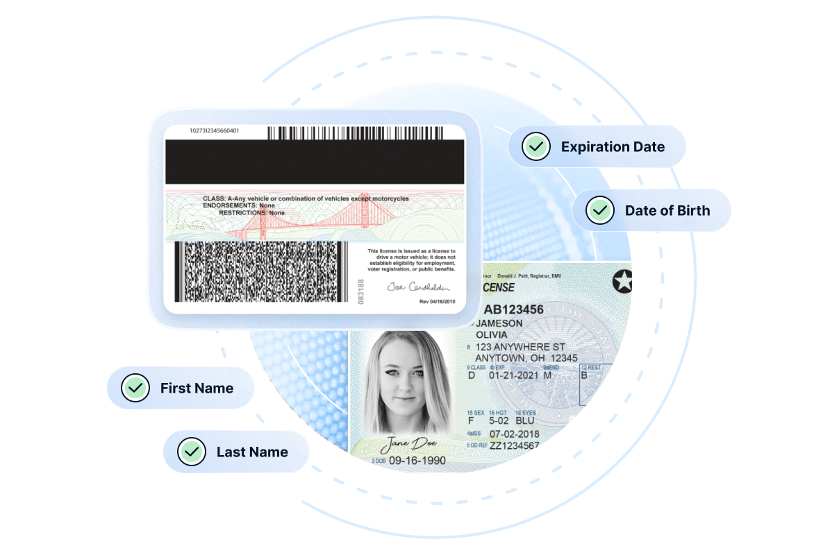 The back of a drivers license being parsed into individual fields