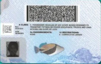 Back of the new Hawaii ID format