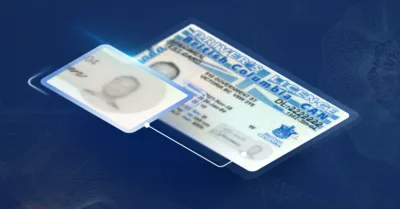 Zoomed in image of an ID showing the windowpane security feature
