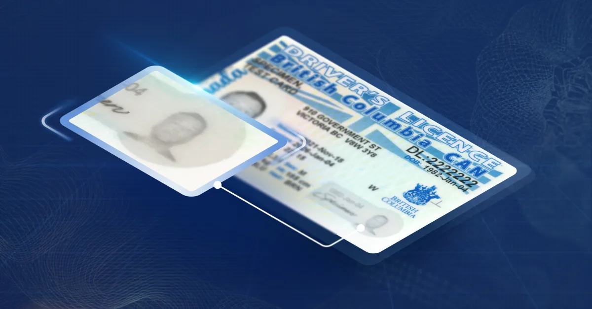 What is the windowpane feature on IDs and which states have it?