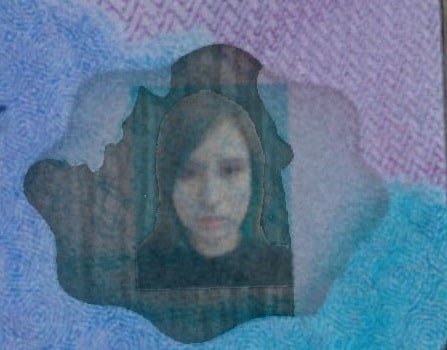 Windowpane feature on Idaho ID