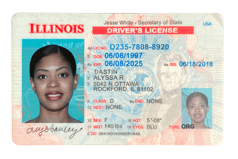 Illinois sample driver's license