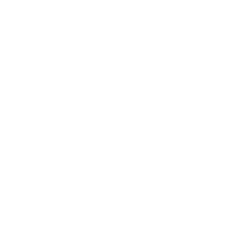 ISO 27001 expertise