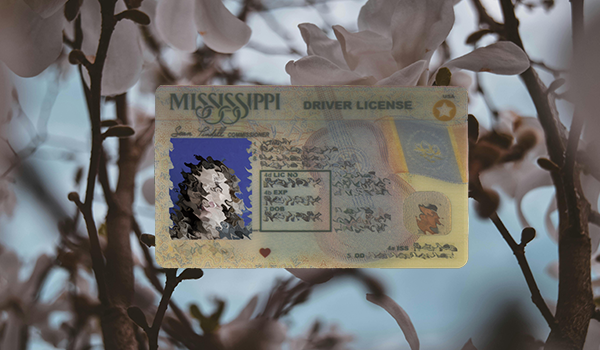 New sample of Mississippi drivers license 2024