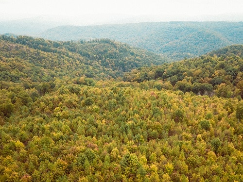 Tennessee mountains with leaves turning yellow in autumn