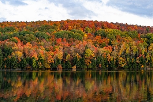 Vermont foliage changing colors in autumn