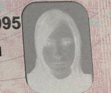 Windowpane feature on Washington D.C. ID